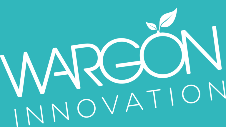 Wargön Innovation AB